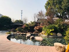 景点-航空小镇温泉