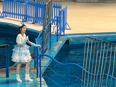 -泉城欧乐堡海洋极地世界