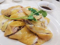 正宗白切鸡-巫记鸡饭店