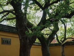 -西园戒幢律寺