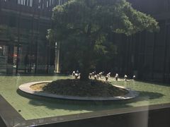 -上海崇明金茂凯悦酒店