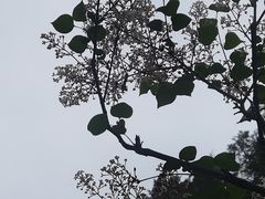 -颐和园