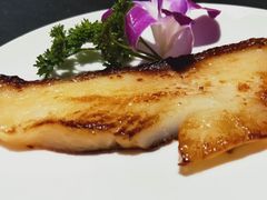 铁板银鳕鱼-立山居酒屋·烧鸟 天妇罗(西北湖店)