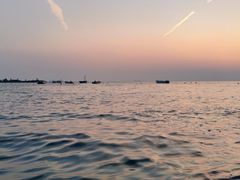 -小麦岛公园