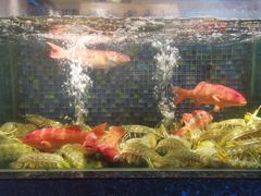 -荣记火锅(青悦城店)