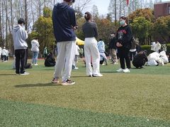 -上海科学技术职业学院