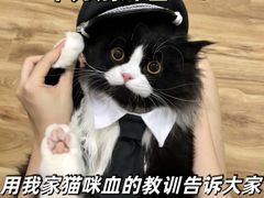 -宠颐生宠物医院外科·内科·皮肤科·影像科(石龙店)