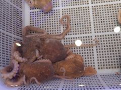 -澜悦港海鲜体验主题餐厅
