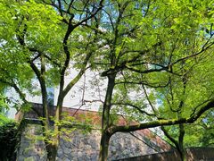 -中国美术学院象山校区-民艺博物馆