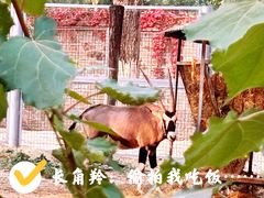-北京动物园