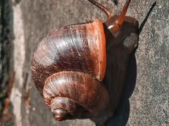 -东坡赤壁风景名胜区