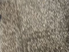 -洪氏嗨捞·猪肚鸡火锅(阳光天地店)