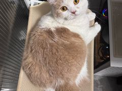 -艾贝尔宠物医院·狂犬免疫点(江山金象城店)