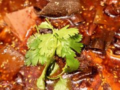 -雀蓝川菜(奥体广场店)