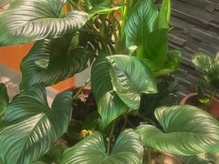 -泰古龙抓龙筋·spa按摩(静安店)