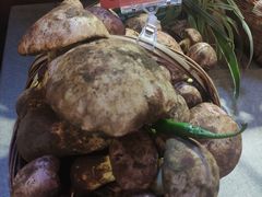 -滇铺子·云南特色菜·第九届野生菌美食节(东风东路c86店)