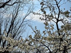 -贵阳市花溪国家城市湿地公园