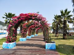 -大梅沙海滨公园