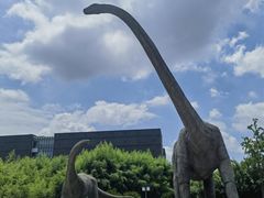 -安徽省地质博物馆