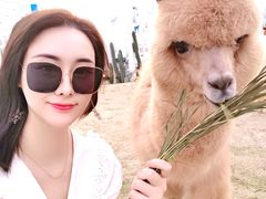 -Blue Concept Cafe&Farm·關於藍