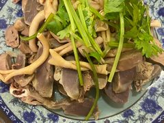 -九斤黄三黄鸡专卖店