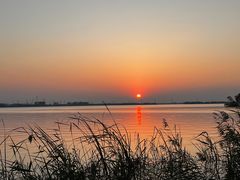 -漕湖湿地公园