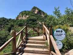 -大岭沟猕猴桃谷风景区