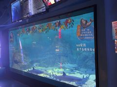 -烟台海昌鲸鲨海洋公园