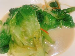 白灼生菜-金鼎轩(亚运村店)