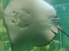 -洛阳龙门海洋馆