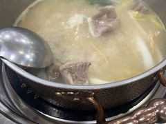 -鸽鸟轩(石岐店)