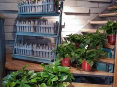 -陶老爷城一锅羊蝎子(西四路店)