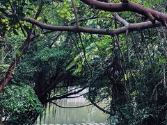 -燕晗山郊野公园