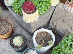 -本分冒菜直营(滨江店)