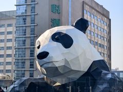 -钟方模白家肥肠粉(春熙店)