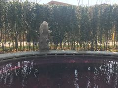 -大连金石滩绿发温泉假日酒店