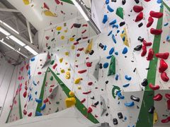 -绿壁虎攀岩基地(Tcar店)