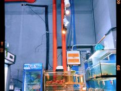 -美味海鲜大排档(明发美食地标店)