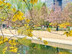 -元大都城垣遗址公园