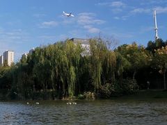 -南翔镇银翔湖公园