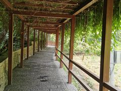 -沕沕水生态风景区