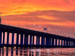 -宝安西湾红树林湿地公园