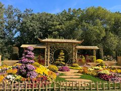 -上海共青森林公园