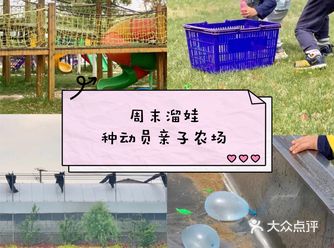 周末溜娃种动员亲子农场