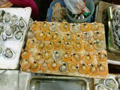 -板桥海鲜广场(文明东店)