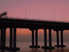 -宝安西湾红树林湿地公园