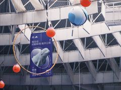 -海合安成都极地海洋公园