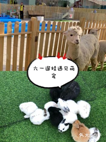 六一遛娃｜小可爱遇见萌宠