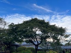 -天龙寺