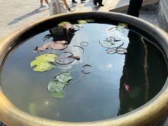 -后海16号·北京私房菜